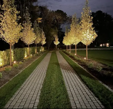 Outdoor landscape lighting design